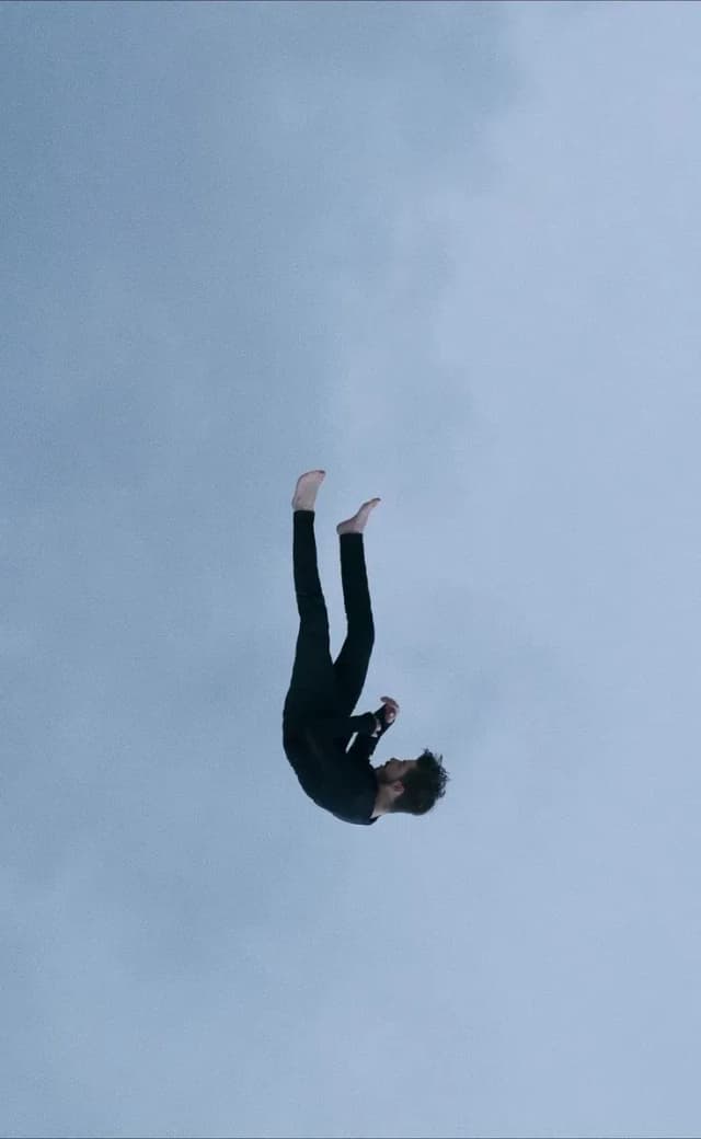 The Falling Man